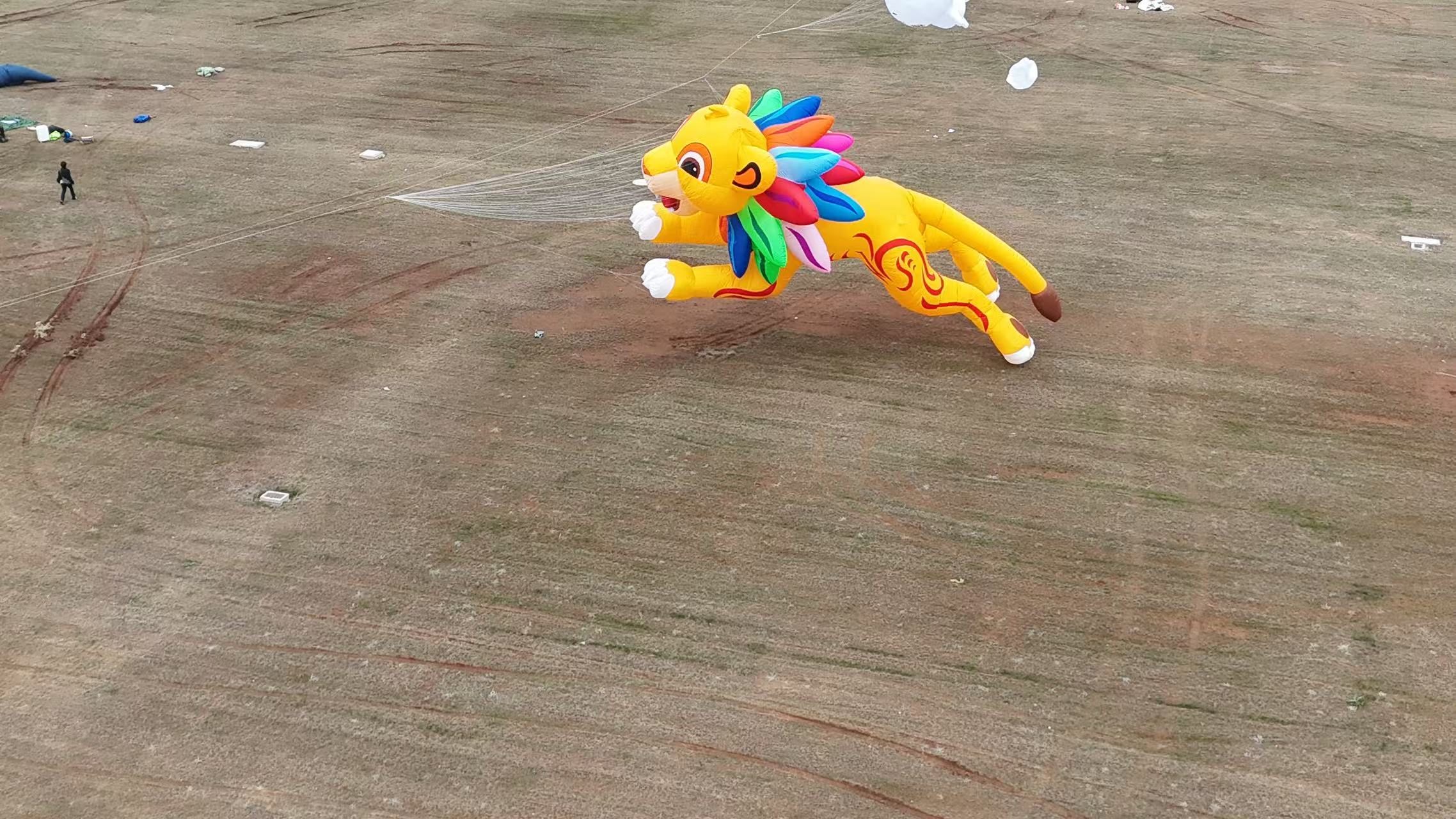 庆阳市品牌风筝定制风筝批发 - 方案